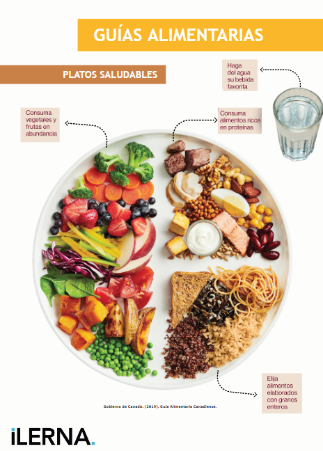 Guía para una alimentación sana y equilibrada